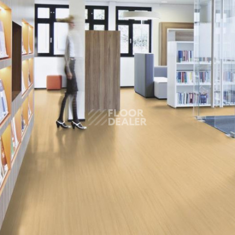 Forbo Marmoleum Decibel on Order 521635 Pacific beaches фото 2 | FLOORDEALER